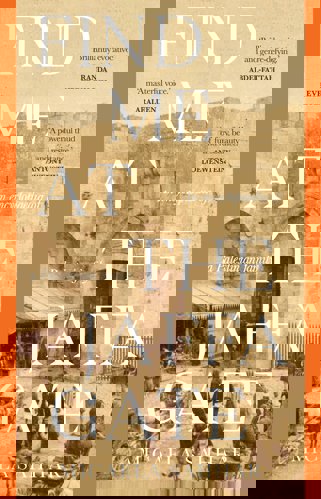 Cover of Find me at the Jaffa gate